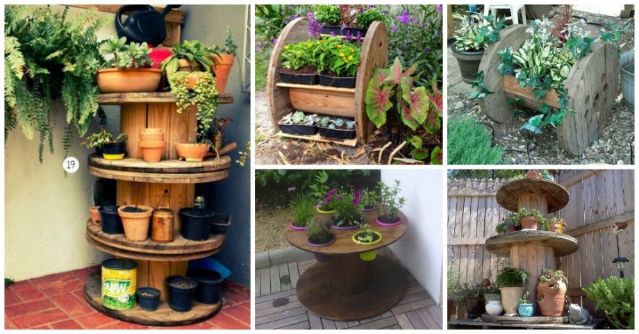 Cable Spool Gardens That You Need to Check
