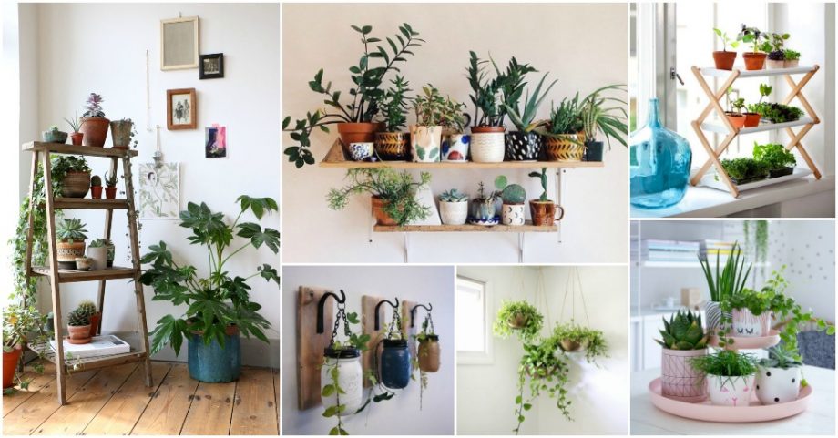 Truly Amazing Ways To Display Your House Plants