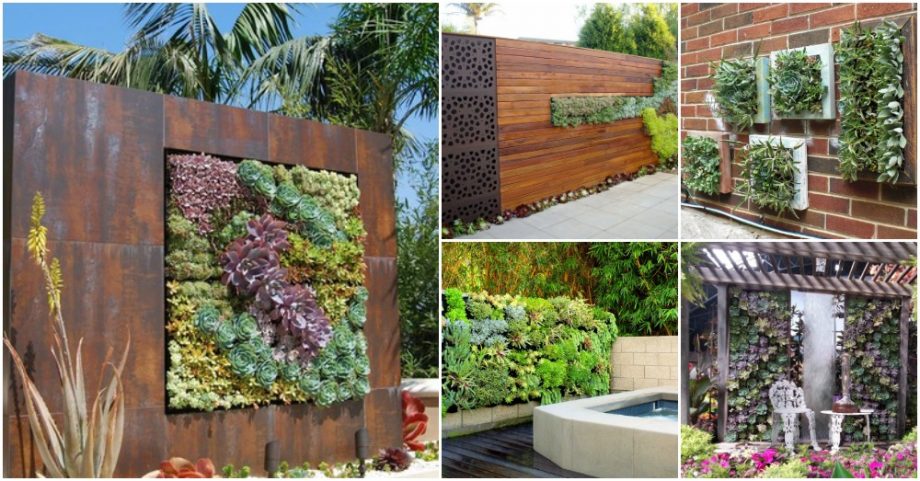 Outstanding Succulent Vertical Gardens That Will Catch Your Eye