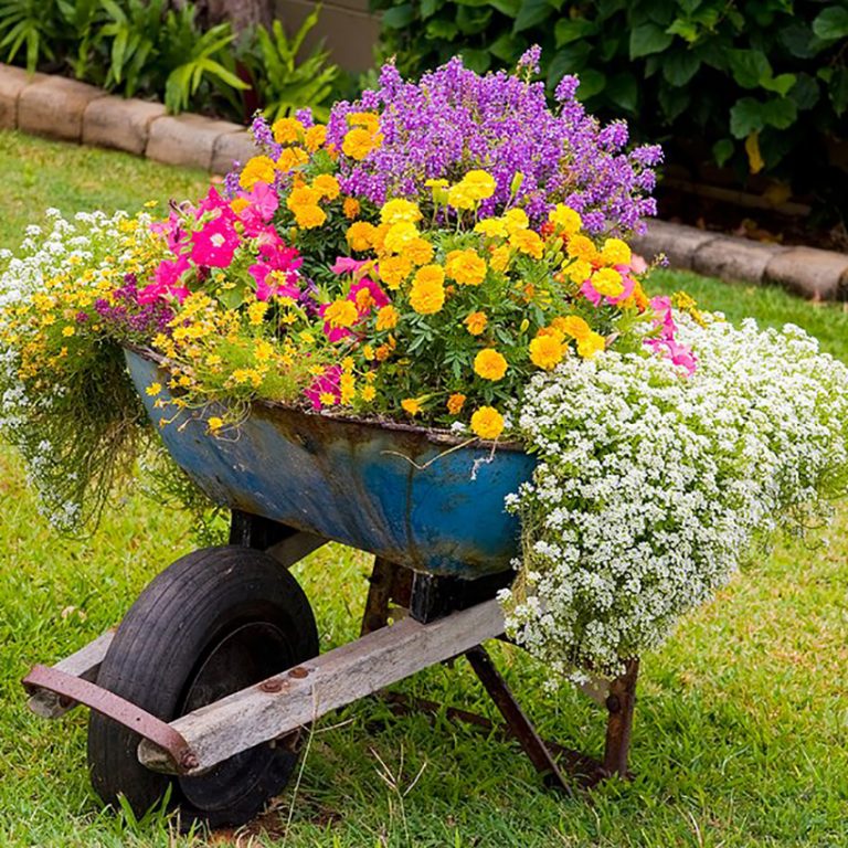 15 Cool Ways To Repurpose Wheelbarrows That Will Blow Your Mind