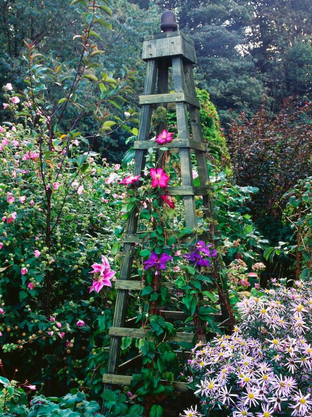 garden obelisk trellis climbing plants build wood climbers diy flowering plant wooden clematis obelisks plans growing landscaping vines hgtv outdoor