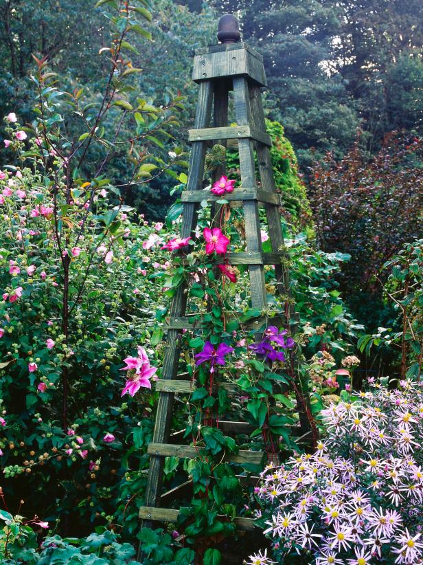 Climbing Plant Trellis That Will Give Your Garden A Satisfying Look