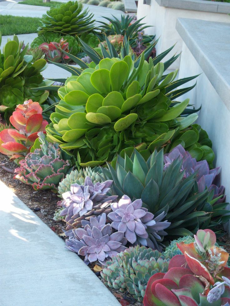 Amazing Succulent Garden Ideas You Shouldn't Miss