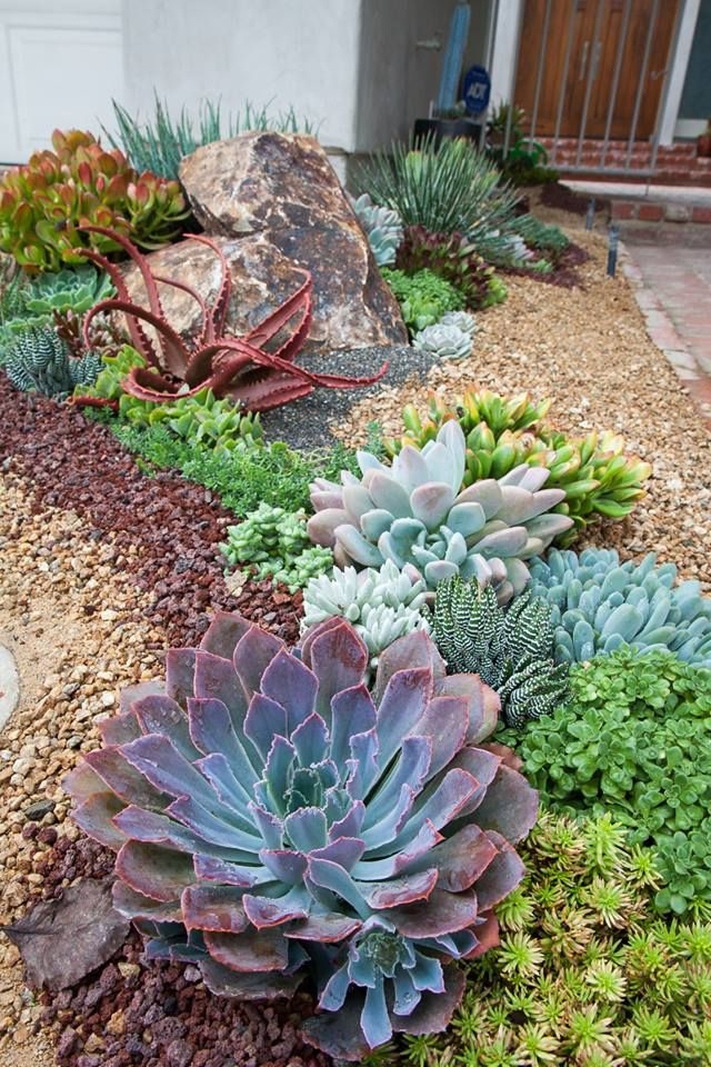 Amazing Succulent Garden Ideas You Shouldn't Miss