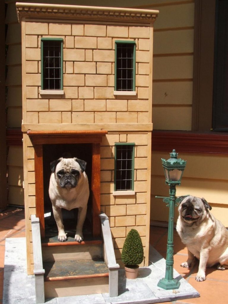 dog house4