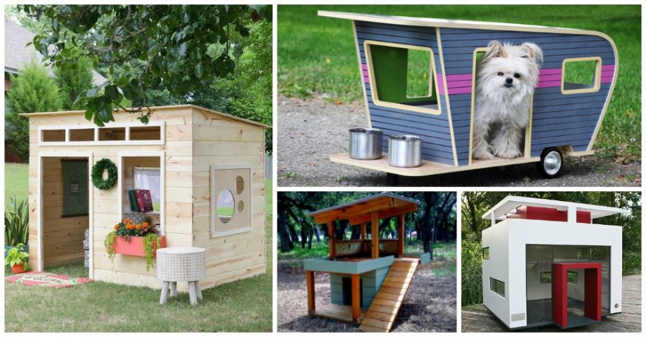 Dog Houses That Will Take Your Breath Away