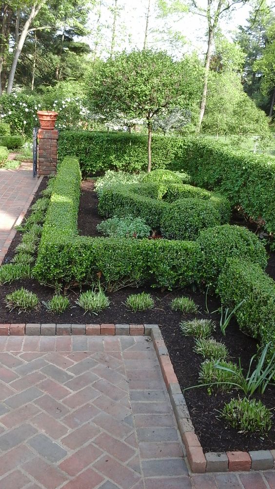 beautiful boxwood gardens that will grab your attention