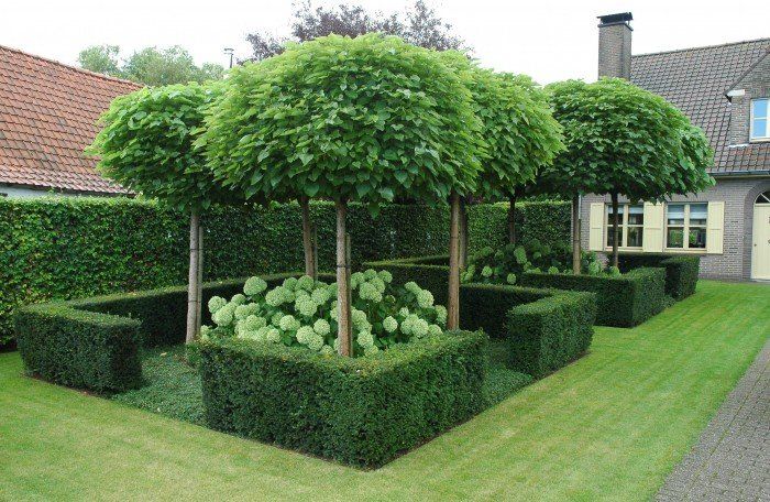 Beautiful Boxwood Gardens That Will Grab Your Attention