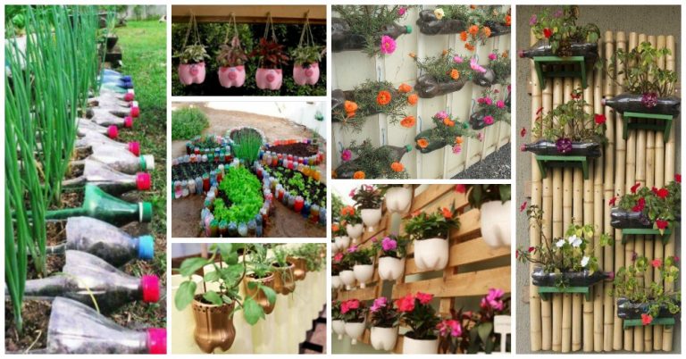 Over 20 Genius DIY Plastic Bottle Gardens You Need To See