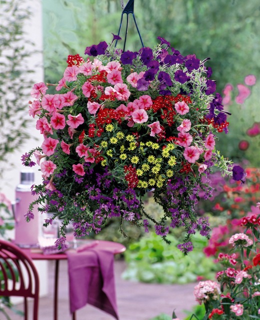 Pro Tips For Amazing Hanging Flower Baskets - Page 2 of 2