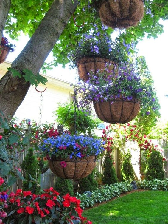 Pro Tips For Amazing Hanging Flower Baskets Page 2 of 2