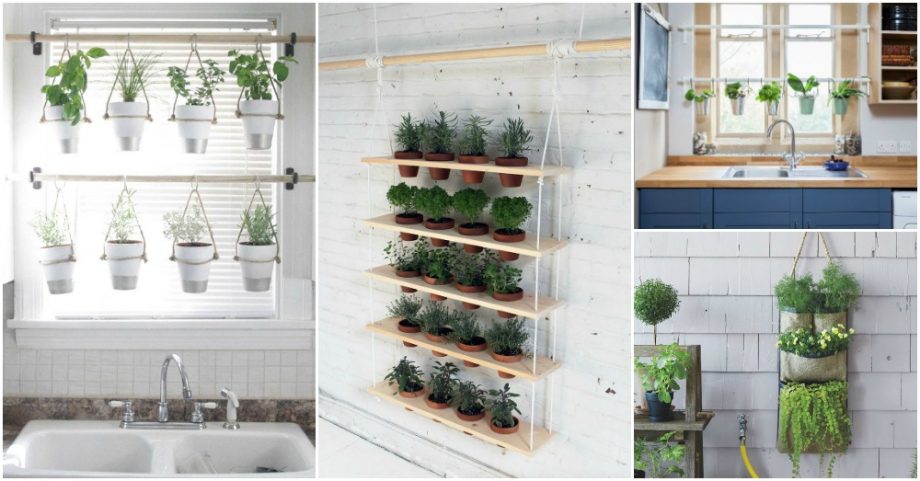 Hanging Herb Gardens You Will Love To Display In Your Home