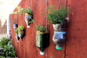 Over 20 Genius DIY Plastic Bottle Gardens You Need To See - Page 2 Of 2