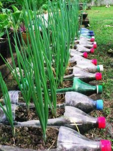 Over 20 Genius DIY Plastic Bottle Gardens You Need To See