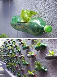 Over 20 Genius DIY Plastic Bottle Gardens You Need To See - Page 2 Of 2