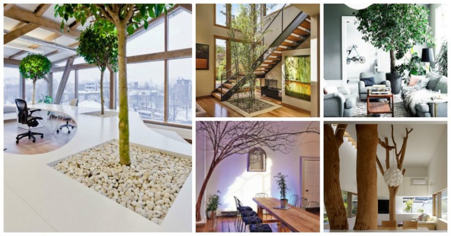 Fascinating Indoor Trees That Will Help You Enliven Your Space