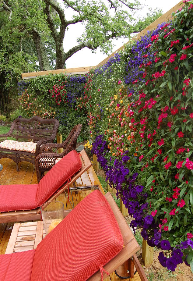 my home deck featuring my beaqutiful green wall installed for privacy decks outdoor living