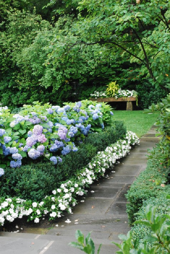 Captivating Hydrangea Flower Beds That Will Beautify Your Outdoors