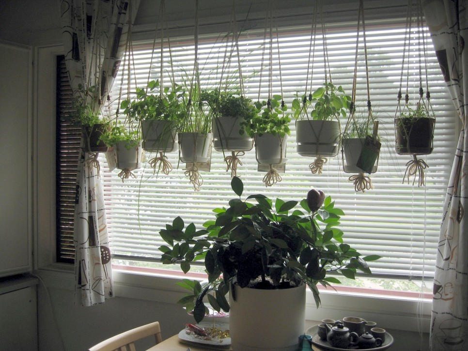 hanging herb gardens you will love to display in your home