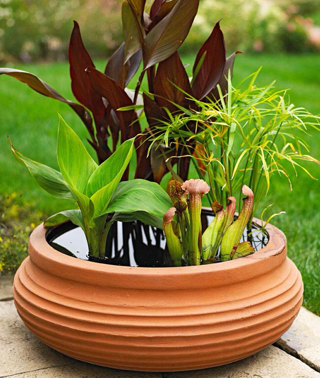 Amazing Ideas Of How To Make Mini Ponds In Pots