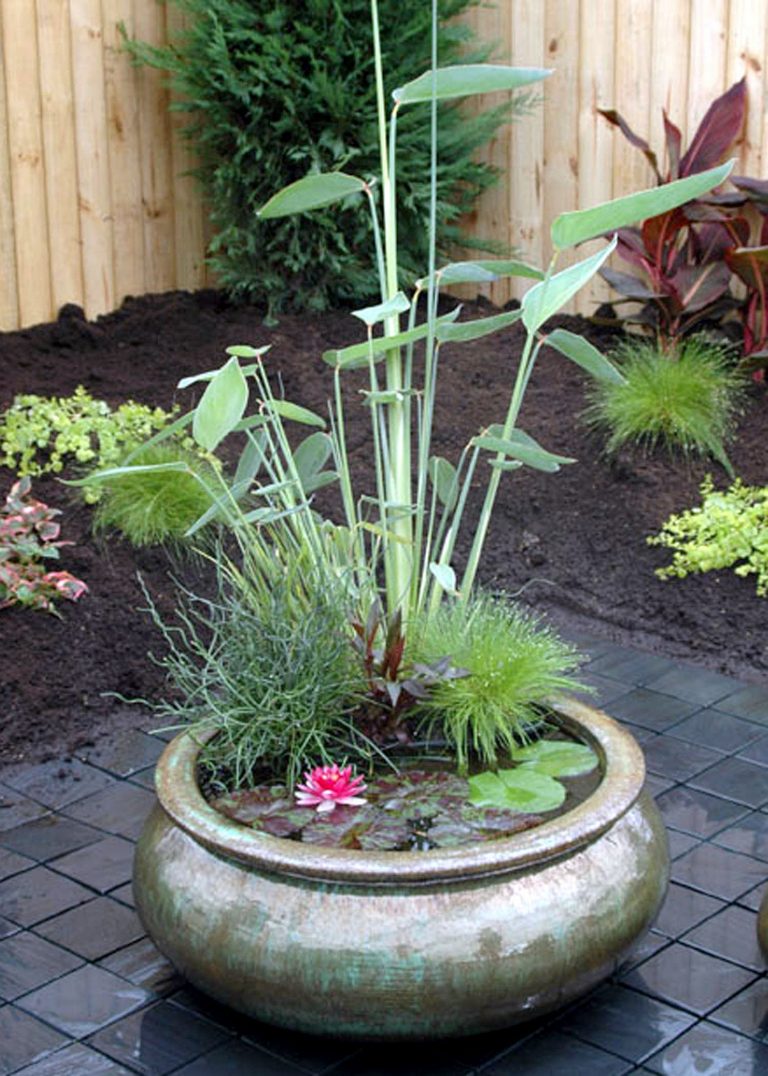 Amazing Ideas Of How To Make Mini Ponds In Pots