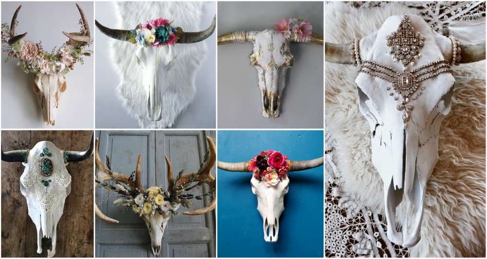 Cow Skull Decor Stock Photos - Free & Royalty-Free Stock Photos from  Dreamstime