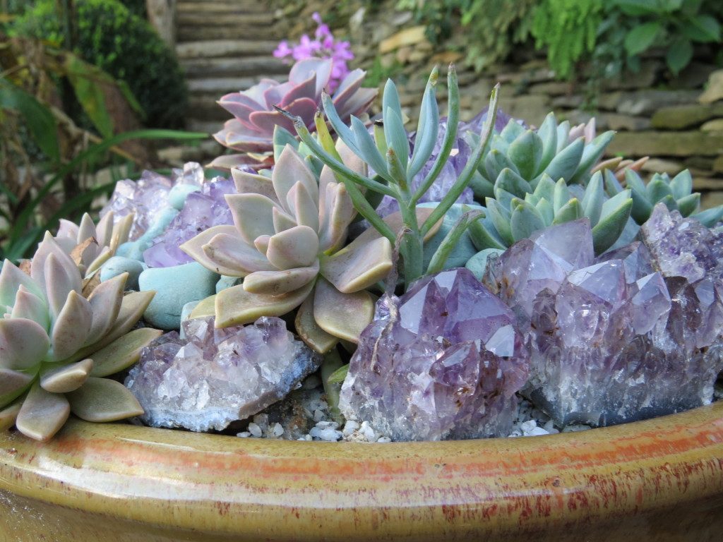 Crystal Planters Are The Newest Way To Display Succulents - Page 2 of 2