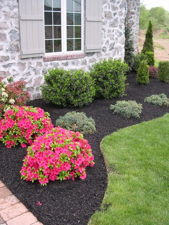 Stunning Black Mulch Landscaping Ideas You Must See