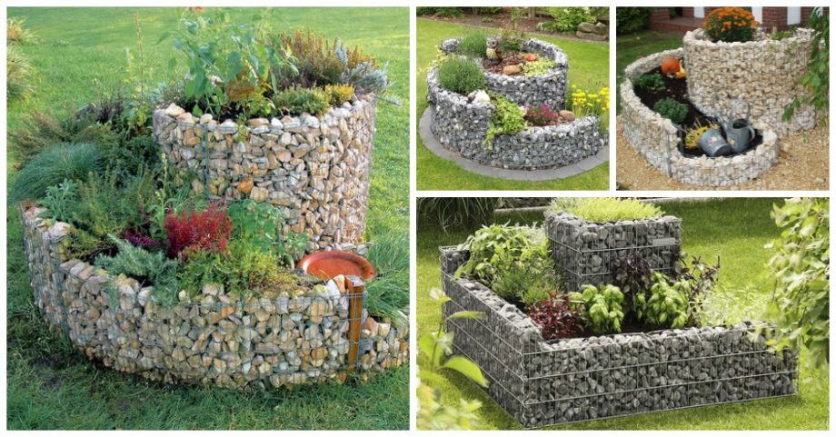 Gabion Raised Beds You Need to See