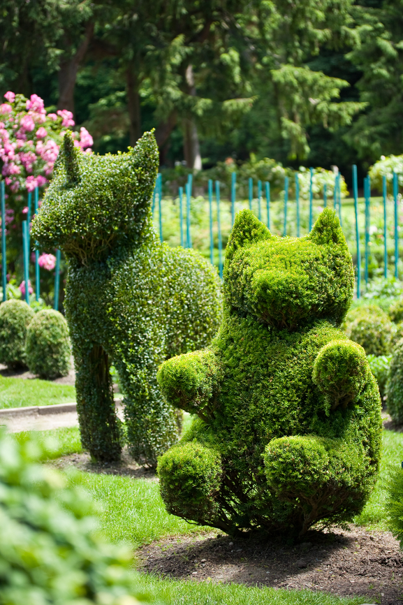 Cutting & Shaping Topiary - Tips and Designs You Should Not Miss - Page