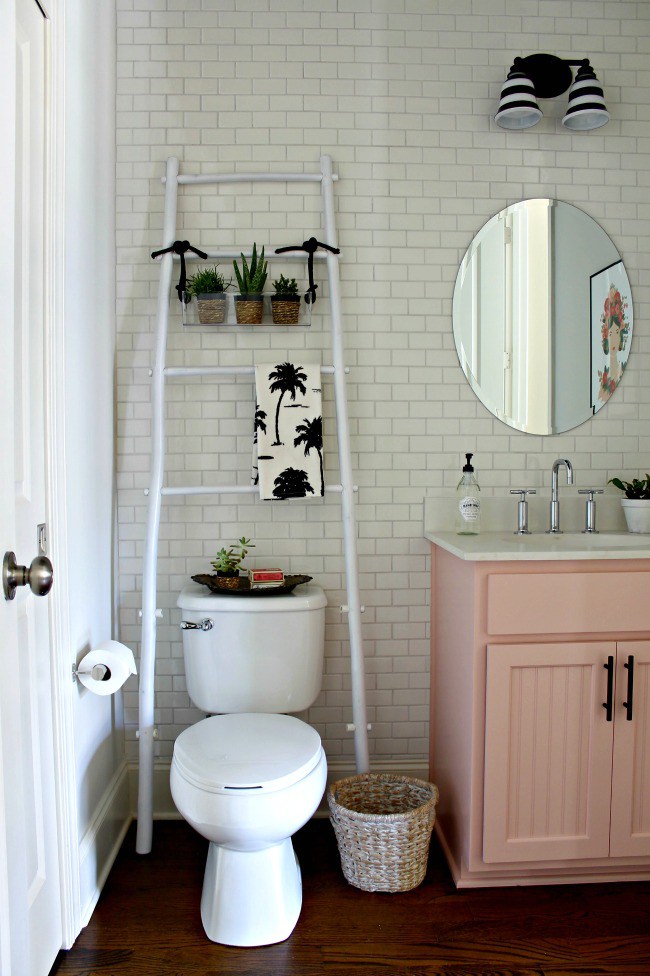 Ladder in Your Bathroom: Yay or Nay?