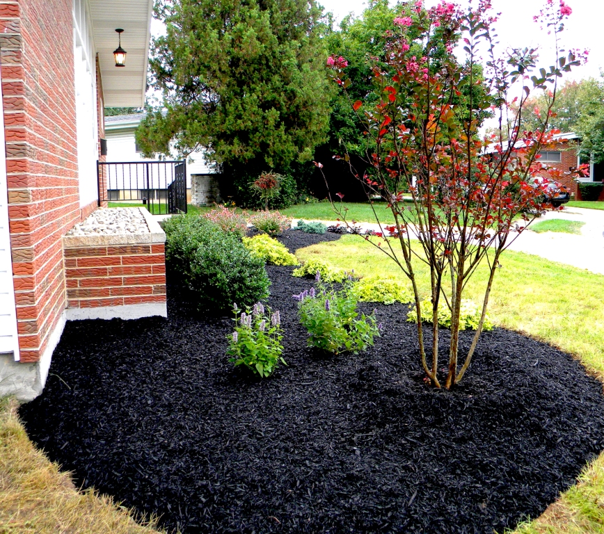 Stunning Black Mulch Landscaping Ideas You Must See