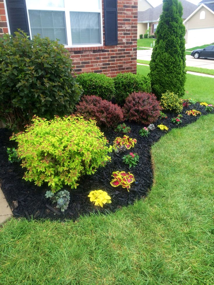 Stunning Black Mulch Landscaping Ideas You Must See