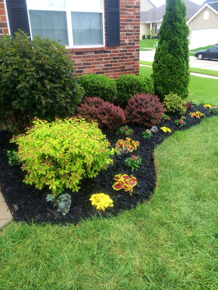 stunning black mulch landscaping ideas you must see