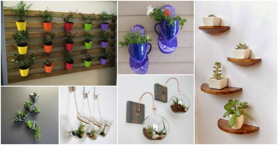 Mini Wall Planters That Will Make You Say WOW