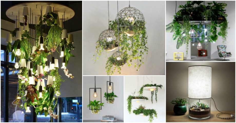Amazing Plant Lamps That Are Meant To Make A Statement