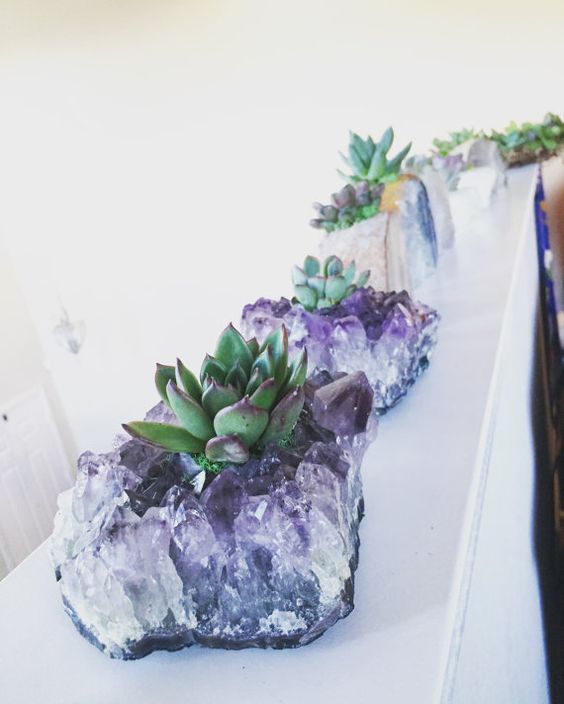 Crystal Planters Are The Newest Way To Display Succulents