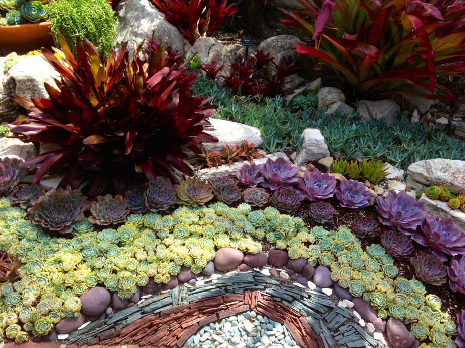 15 Delightful Succulent Gardens That Will Inspire You - Page 2 of 2