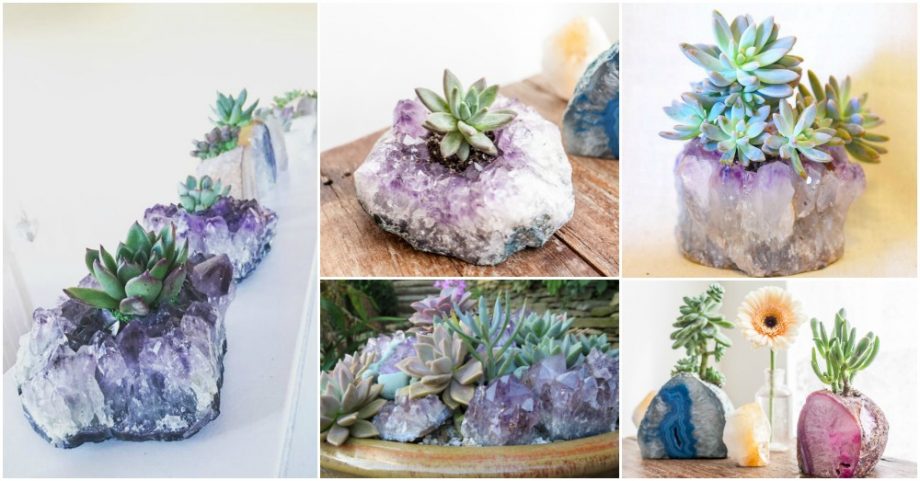 Crystal Planters Are The Newest Way To Display Succulents