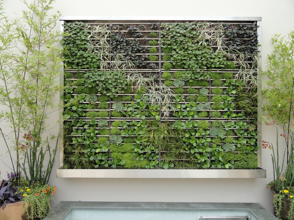 wall garden1