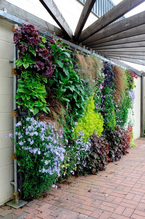 wall garden