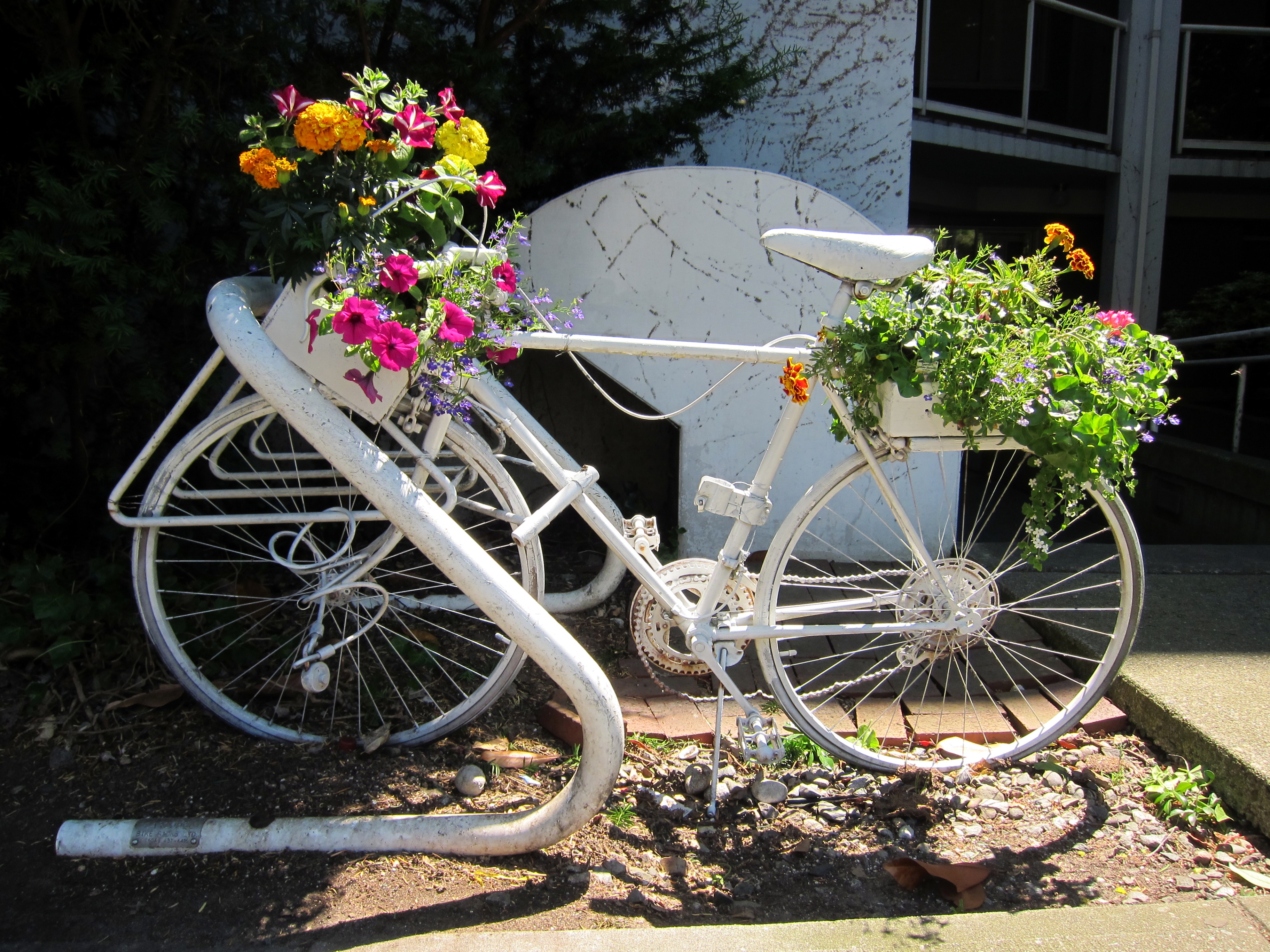 15 Fascinating Ways To Do DIY Bicycle Decor In Your Garden