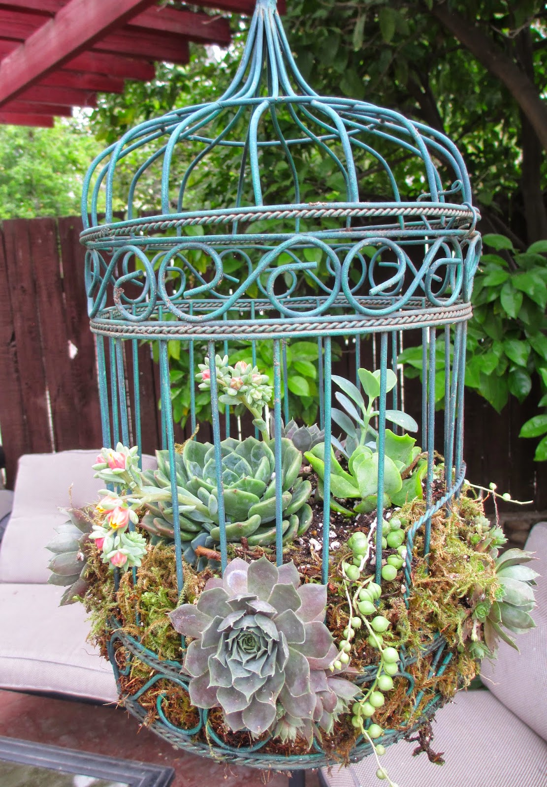 bird cage garden ideas 10