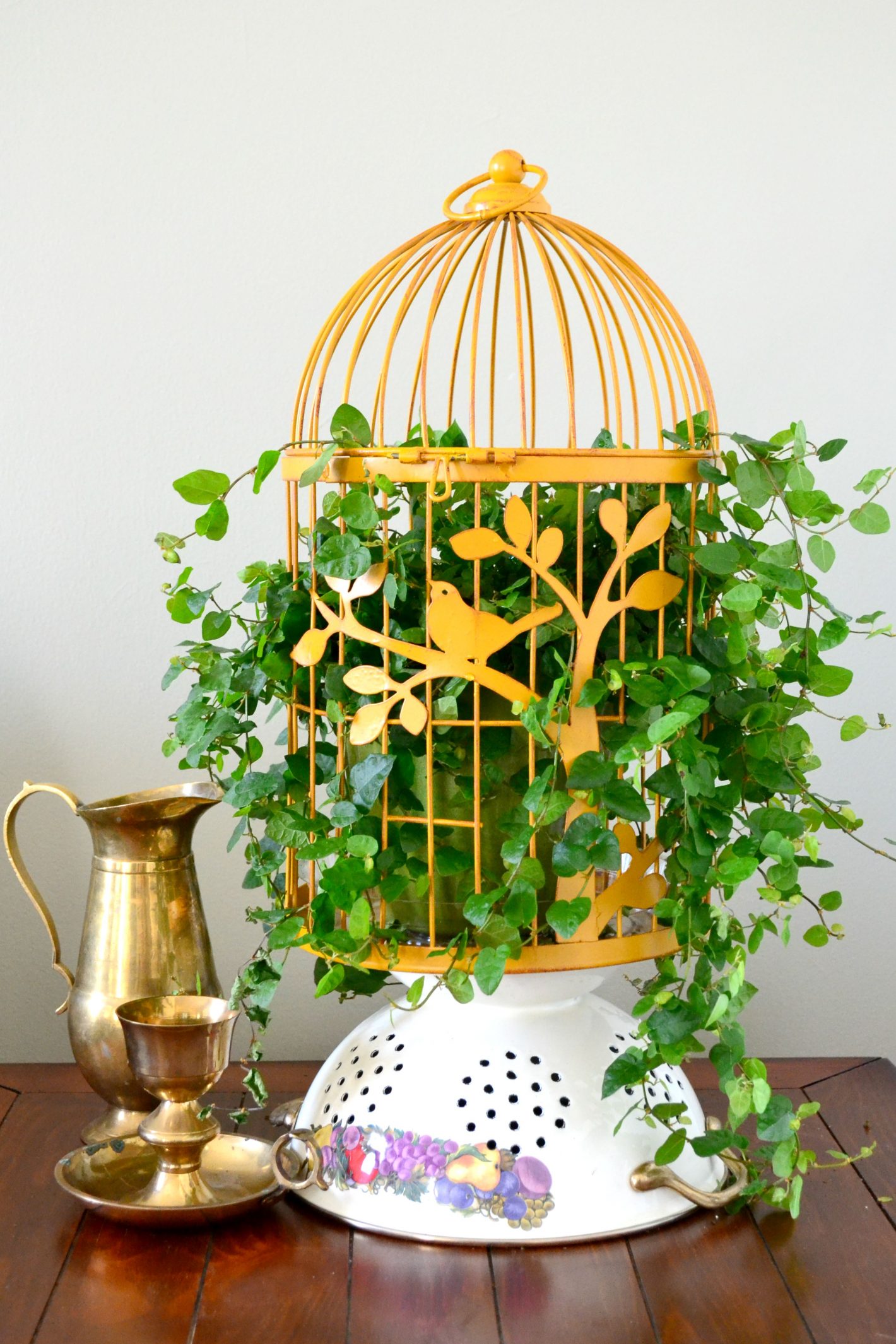 Bird Cage Garden Ideas 12