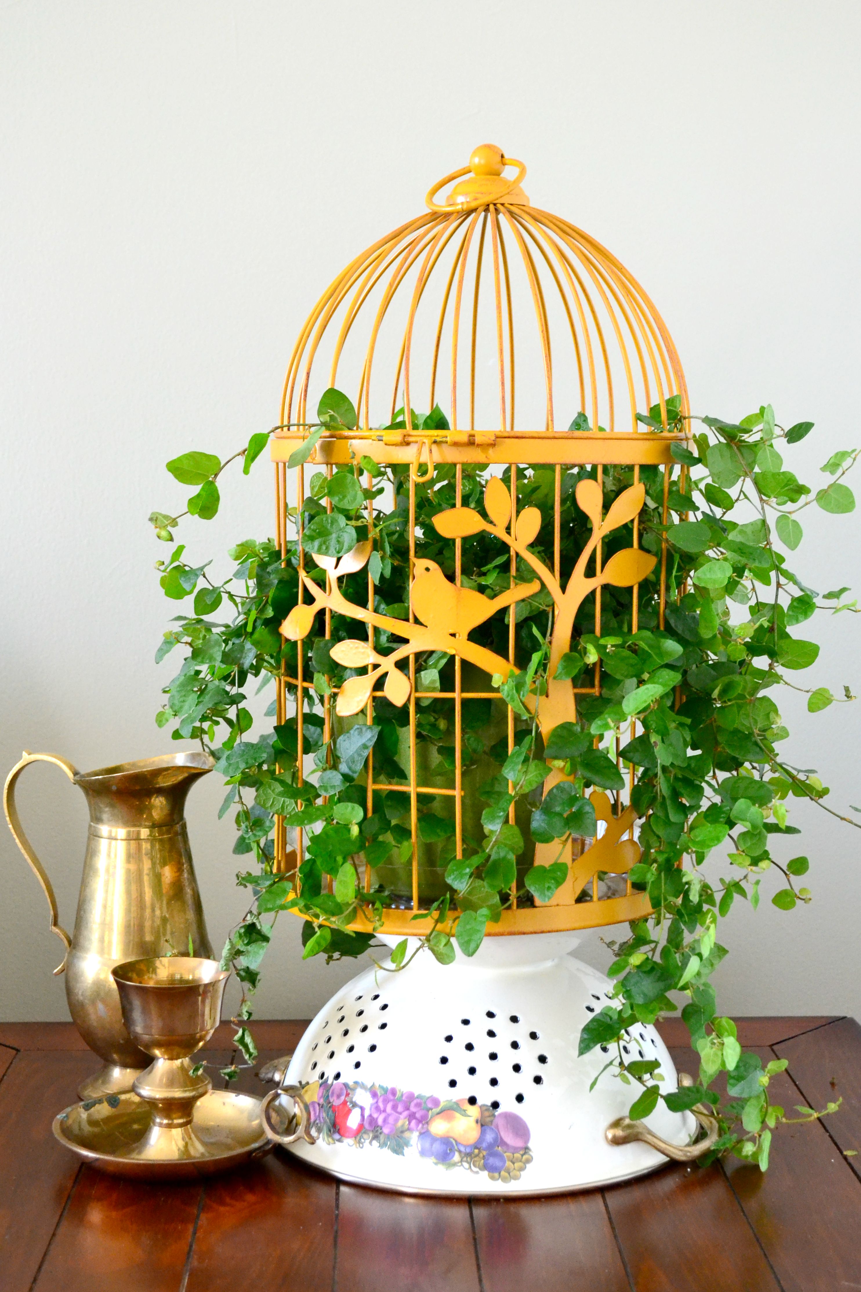 Bird Cage Planters Are Fun And Eye-catching Decor For Your Garden