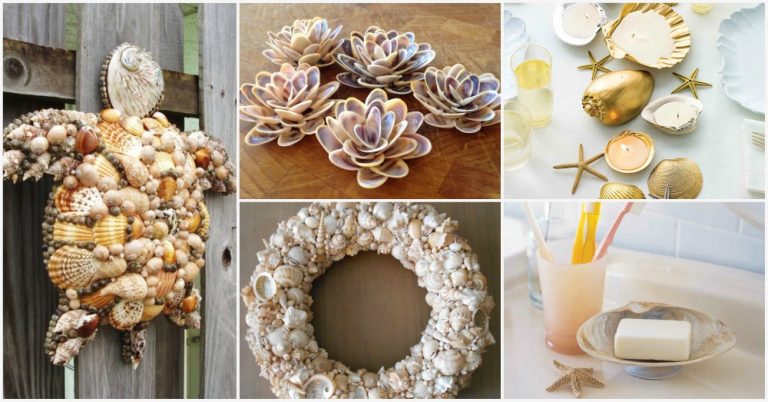 Beautiful DIY Shell Decor To Make This Summer