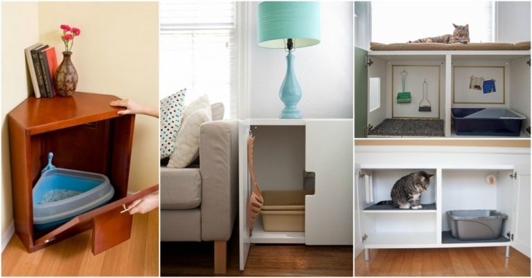 12 Creative Ideas For Hiding Kitty Litter Box That Are So Helpful   Kitty Box 768x402 