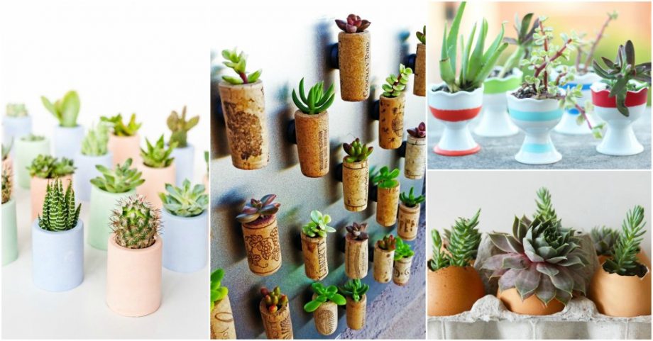 DIY Mini Planter Ideas That Look Super Cute