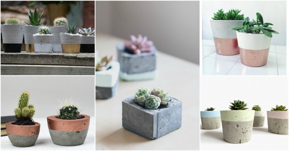 Concrete Planter Ideas To Get The Contemporary Look In Your Home