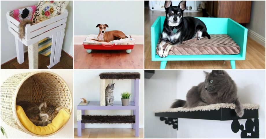 Awesome DIY Pet Bed Ideas That Your Furry Friends Will Absolutely Love
